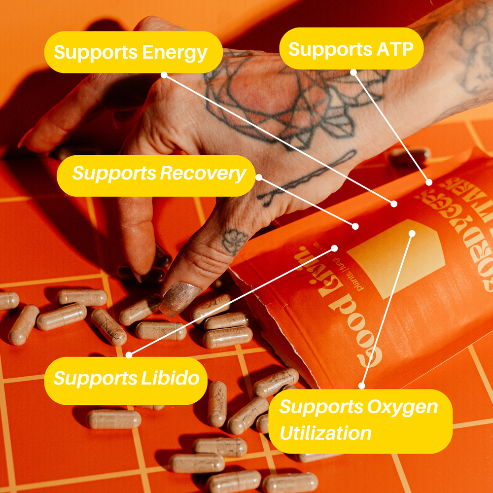 Athletes Performance Bundle