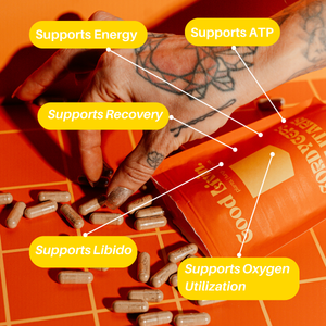 Athletes Performance Bundle