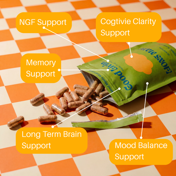 Productivity & Brain Bundle