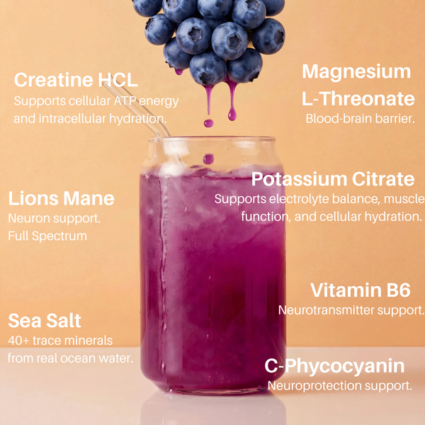 Salty Einstein | Brain Electrolyte